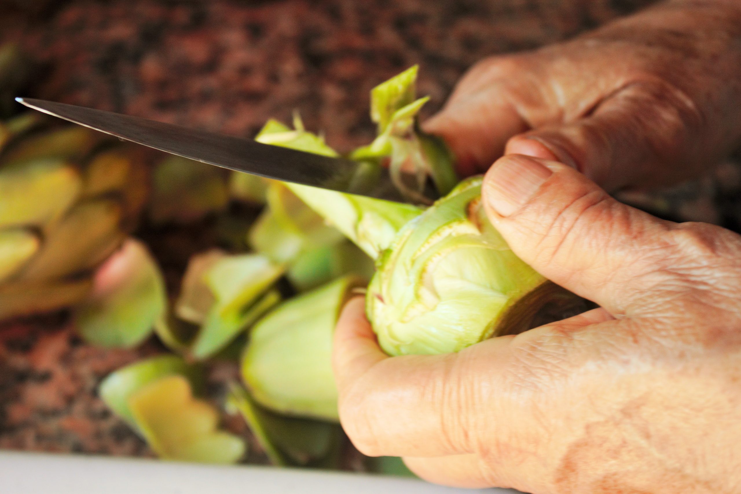 Limpiando las alcachofas para incorporarlas al arroz