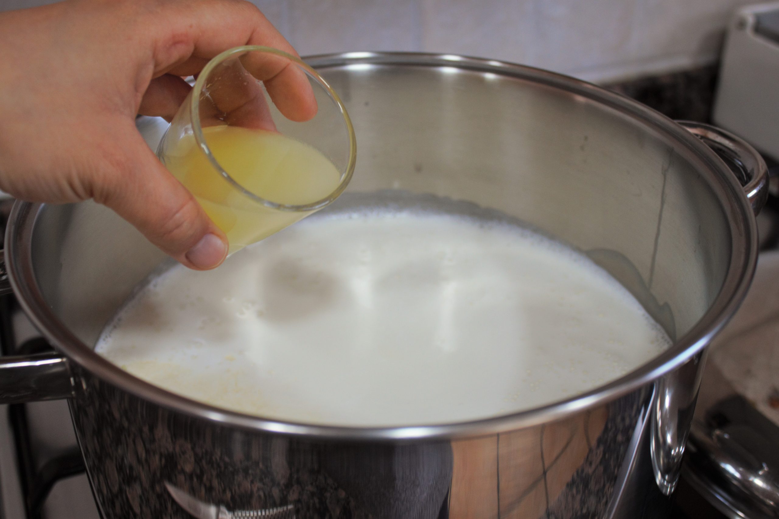 Añadiendo zumo de limón a la leche fresca calentándose a 90 grados para hacer mató casero paso a paso.